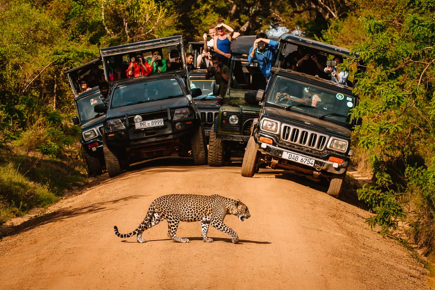 Crowds-in-Yala-national-park